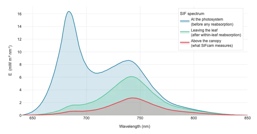 Modelled SIF emission spectrum at three scales: a single photosystem, a leaf and the top of a closed canopy. The red peak near 685 nm shrinks dramatically from photosystem to canopy, while the far-red peak near 740 nm survives.